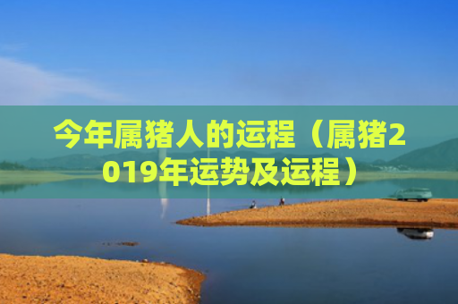 今年属猪人的运程（属猪2019年运势及运程）