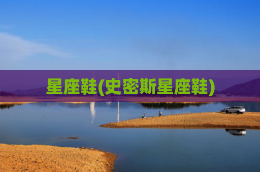星座鞋(史密斯星座鞋)