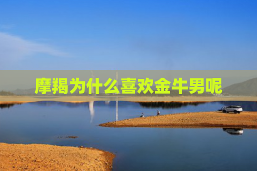摩羯为什么喜欢金牛男呢