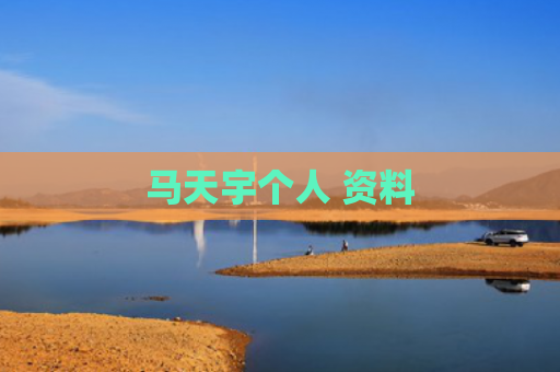 马天宇个人 资料