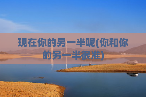 现在你的另一半呢(你和你的另一半很准)