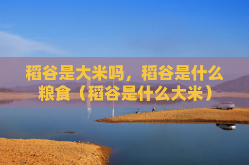 稻谷是大米吗，稻谷是什么粮食（稻谷是什么大米）