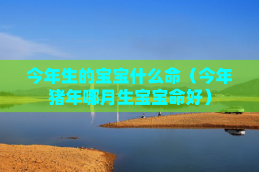 今年生的宝宝什么命（今年猪年哪月生宝宝命好）