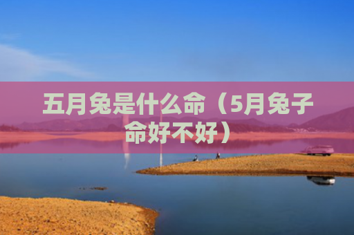 五月兔是什么命（5月兔子命好不好）