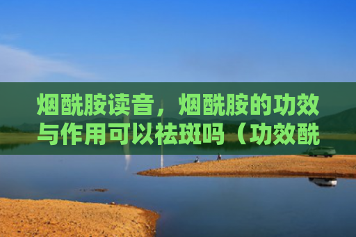 烟酰胺读音，烟酰胺的功效与作用可以祛斑吗（功效酰胺读音）