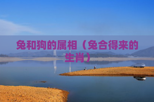 兔和狗的属相（兔合得来的生肖）