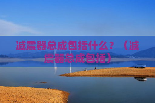 减震器总成包括什么？（减震器总成包括）