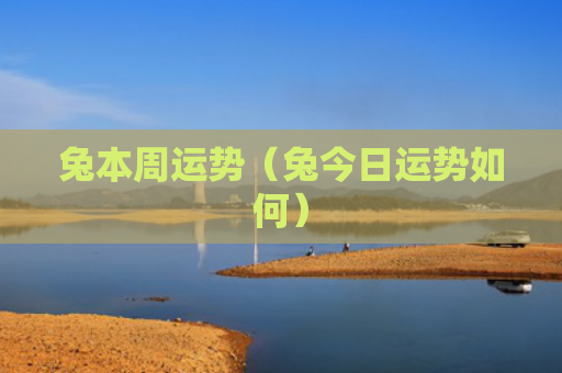 兔本周运势（兔今日运势如何）