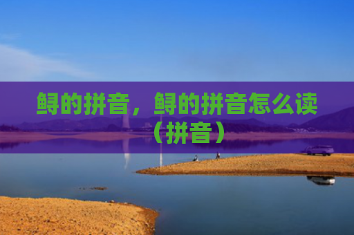 鲟的拼音，鲟的拼音怎么读（拼音）