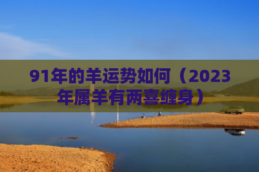 91年的羊运势如何（2023年属羊有两喜缠身）