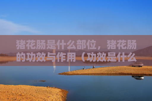 猪花肠是什么部位，猪花肠的功效与作用（功效是什么部位）