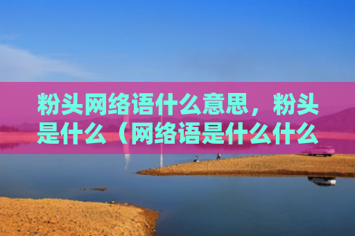粉头网络语什么意思，粉头是什么（网络语是什么什么意思）