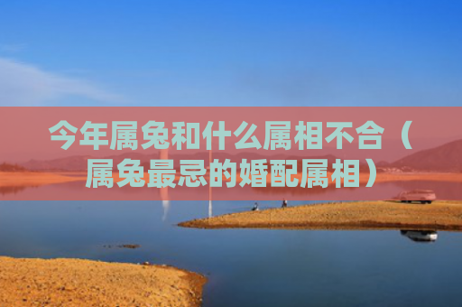今年属兔和什么属相不合（属兔最忌的婚配属相）