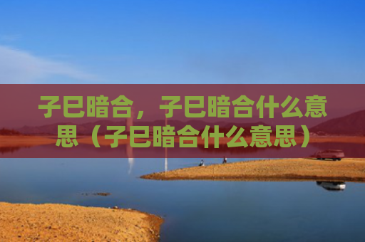 子巳暗合，子巳暗合什么意思（子巳暗合什么意思）