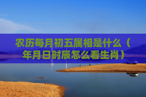 农历每月初五属相是什么（年月日时辰怎么看生肖）