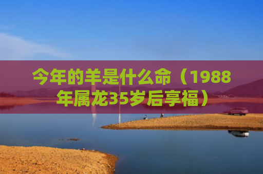 今年的羊是什么命（1988年属龙35岁后享福）