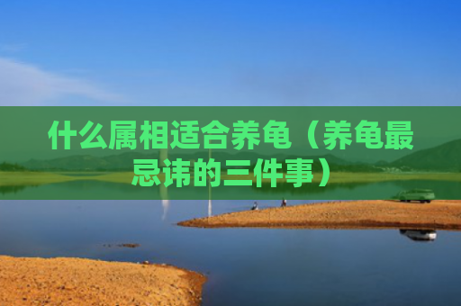 什么属相适合养龟（养龟最忌讳的三件事）