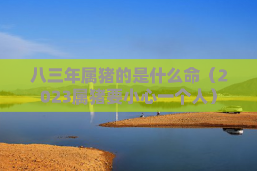 八三年属猪的是什么命（2023属猪要小心一个人）