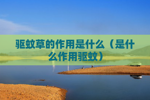 驱蚊草的作用是什么（是什么作用驱蚊）