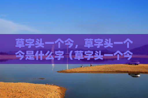 草字头一个今，草字头一个今是什么字（草字头一个今是）