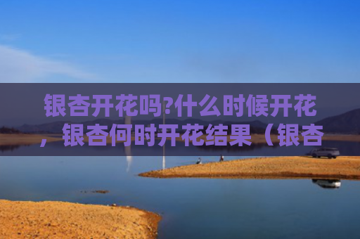 银杏开花吗?什么时候开花，银杏何时开花结果（银杏开花什么时候）
