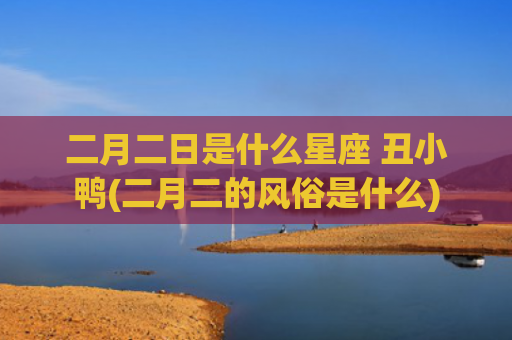 二月二日是什么星座 丑小鸭(二月二的风俗是什么)