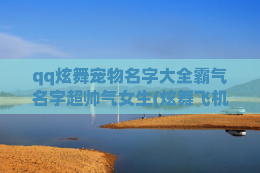 qq炫舞宠物名字大全霸气名字超帅气女生(炫舞飞机宠物名字)