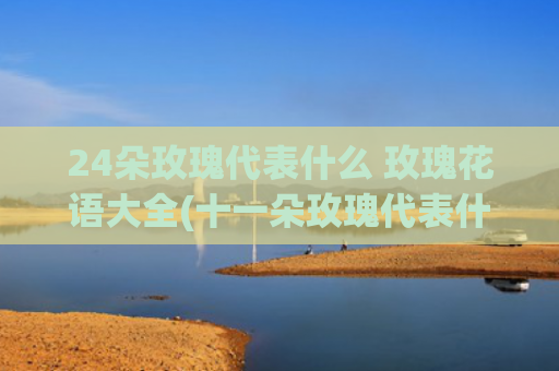 24朵玫瑰代表什么 玫瑰花语大全(十一朵玫瑰代表什)