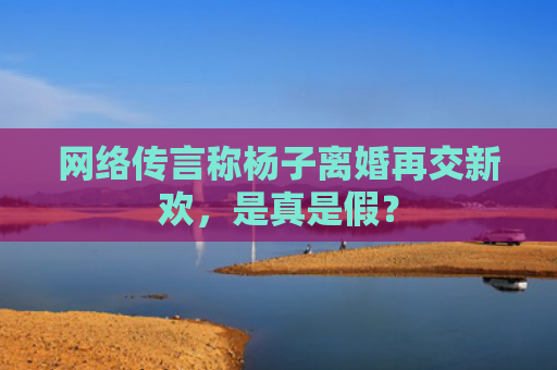 网络传言称杨子离婚再交新欢，是真是假？