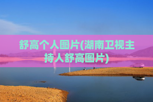 舒高个人图片(湖南卫视主持人舒高图片)