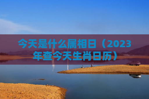 今天是什么属相日（2023年查今天生肖日历）