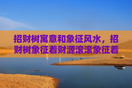 招财树寓意和象征风水，招财树象征着财源滚滚象征着富足