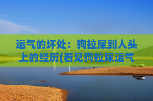 运气的坏处：狗拉屎到人头上的经历(看见狗拉尿运气怎么样)
