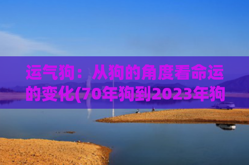 运气狗：从狗的角度看命运的变化(70年狗到2023年狗运气怎么样)