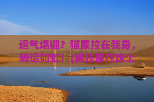 运气爆棚？猫尿拉在我身，转运如虹！(猫拉尿在床上影响运气吗)