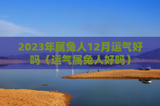 2023年属兔人12月运气好吗（运气属兔人好吗）