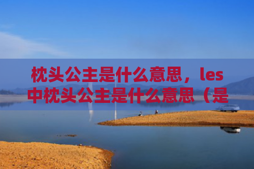 枕头公主是什么意思，les中枕头公主是什么意思（是什么意思枕头公主）