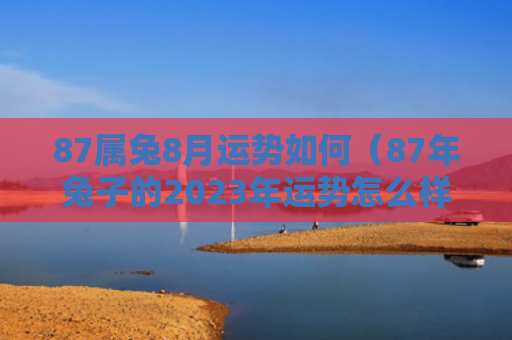 87属兔8月运势如何（87年兔子的2023年运势怎么样）