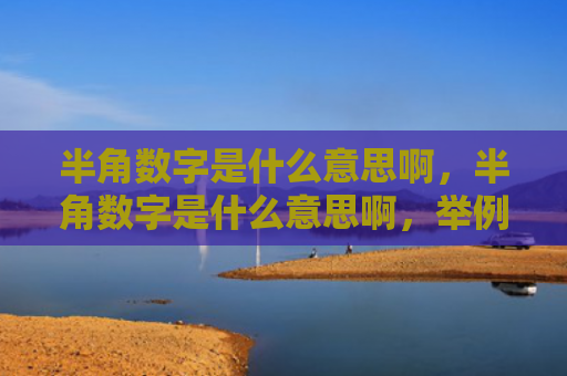 半角数字是什么意思啊，半角数字是什么意思啊，举例子（数字举例子半角）