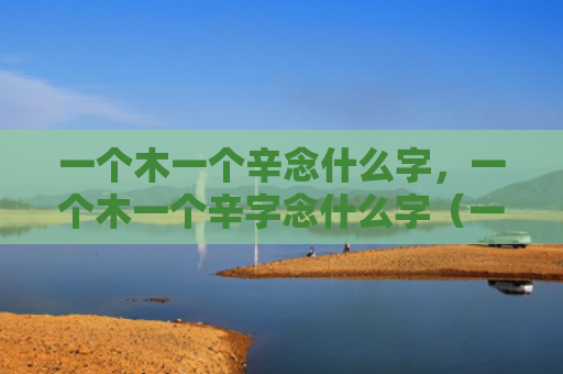 一个木一个辛念什么字，一个木一个辛字念什么字（一个木一个辛）