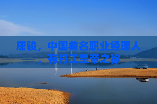 唐骏，中国着名职业经理人，有打工皇帝之称