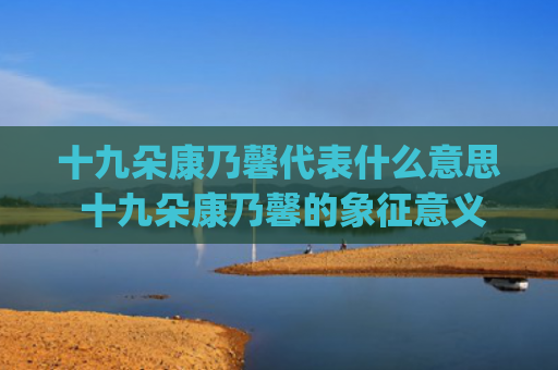 十九朵康乃馨代表什么意思 十九朵康乃馨的象征意义(十九朵康乃馨花束图片)