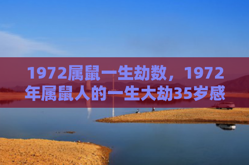 1972属鼠一生劫数，1972年属鼠人的一生大劫35岁感情劫难