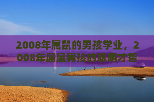 2008年属鼠的男孩学业，2008年属鼠男孩的聪明才智