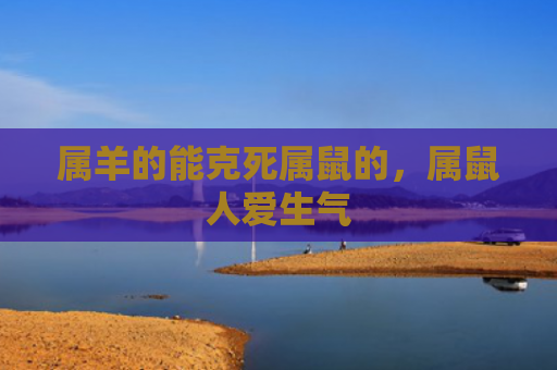 属羊的能克死属鼠的，属鼠人爱生气