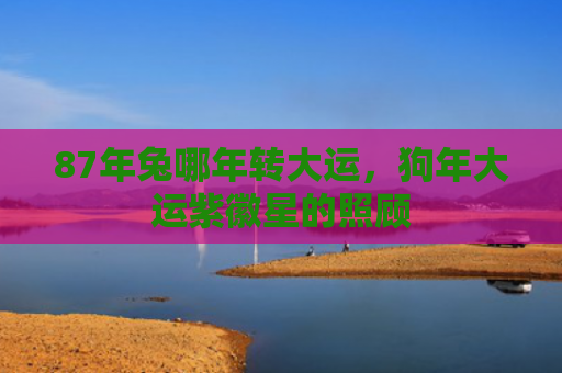 87年兔哪年转大运，狗年大运紫徽星的照顾
