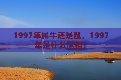 1997年属牛还是鼠，1997年是什么属相？