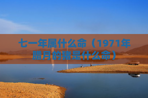 七一年属什么命（1971年腊月的猪是什么命）