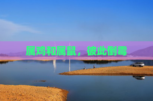 属鸡和属鼠，彼此倒霉