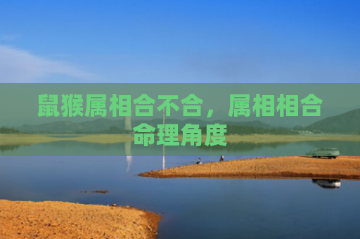 鼠猴属相合不合，属相相合命理角度